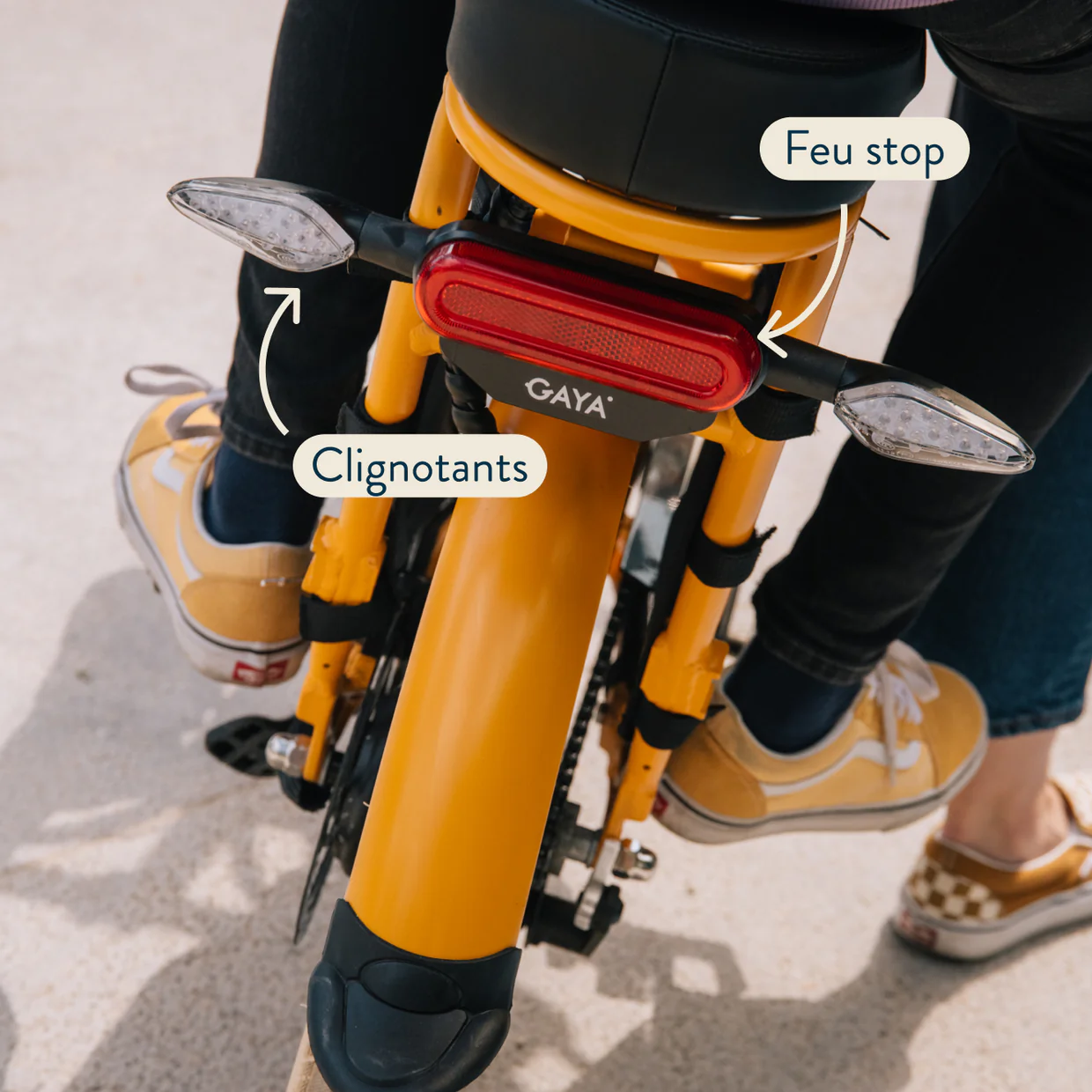Gaya Cargo