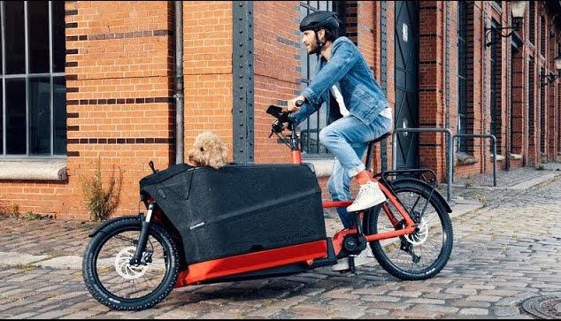 vélo électrique Packster 70 de Riese & Müller