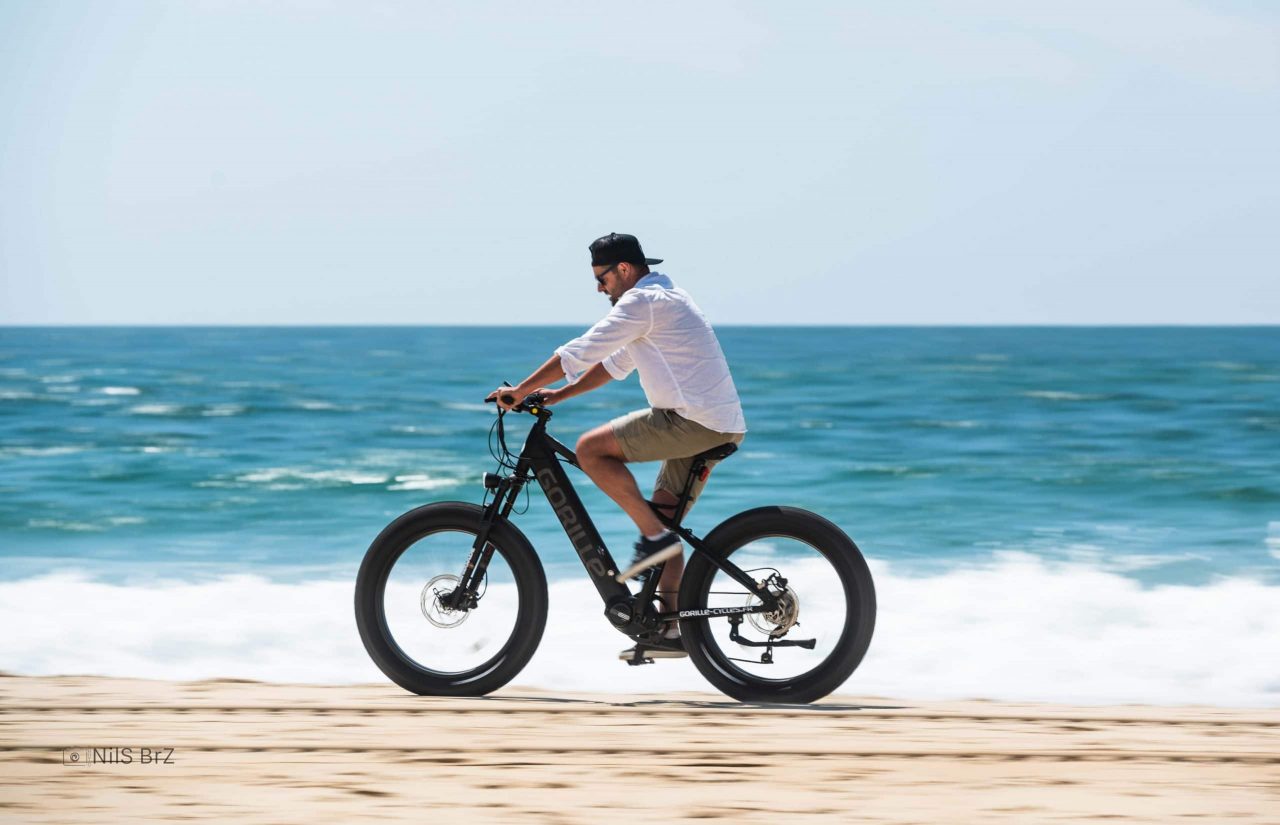 Fat Bike Gorille Athlète VTT