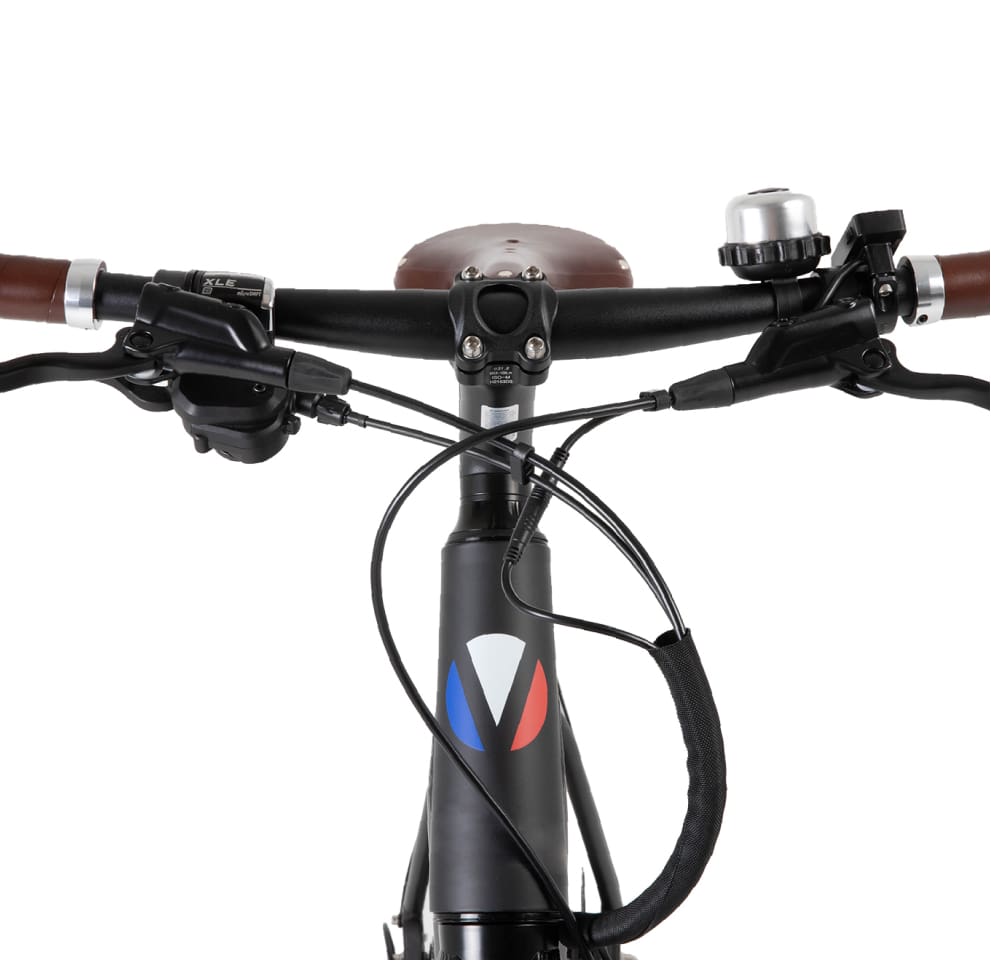 Actif, racé, léger
