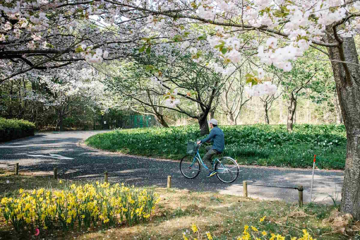 Comment profiter du vélo au printemps : conseils pratiques