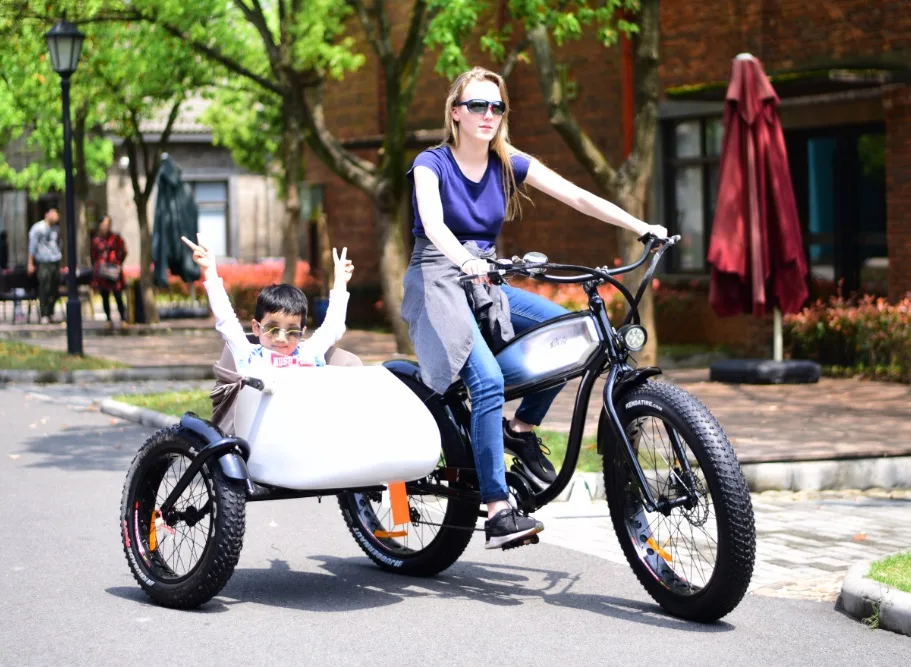 Fat bike Side-Car Beach Cruiser