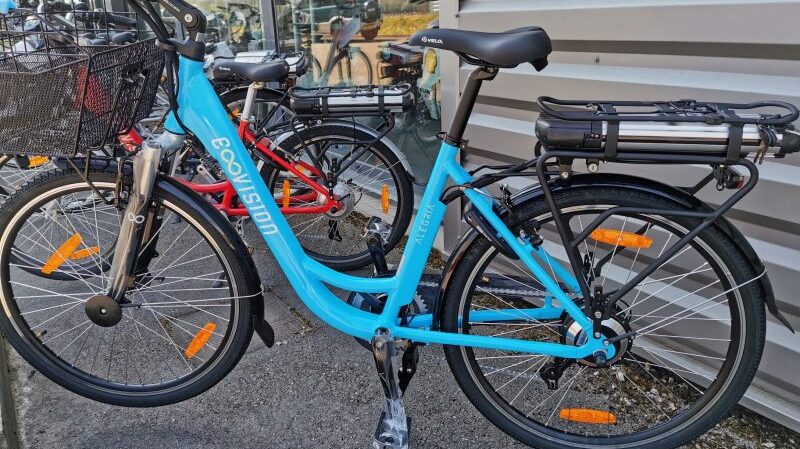 Vélo électrique pour femme 24 pouces Alegria E-vision 24"