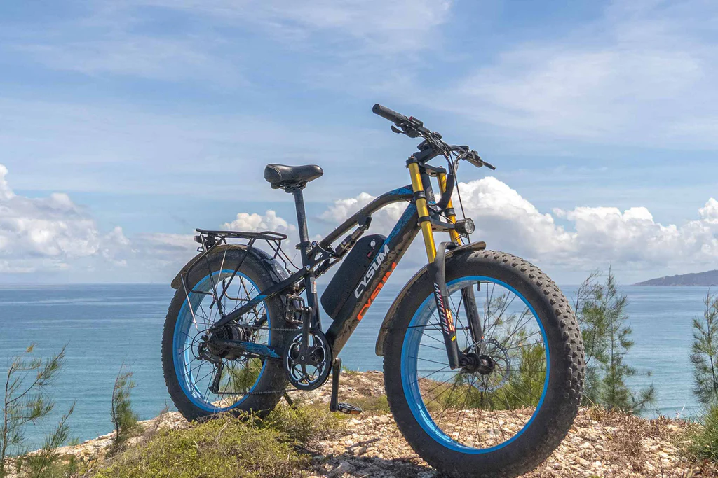 fat ebike Richbit M900 Plus 1 000 W