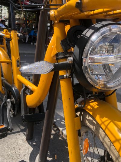 Gaya jaune 5