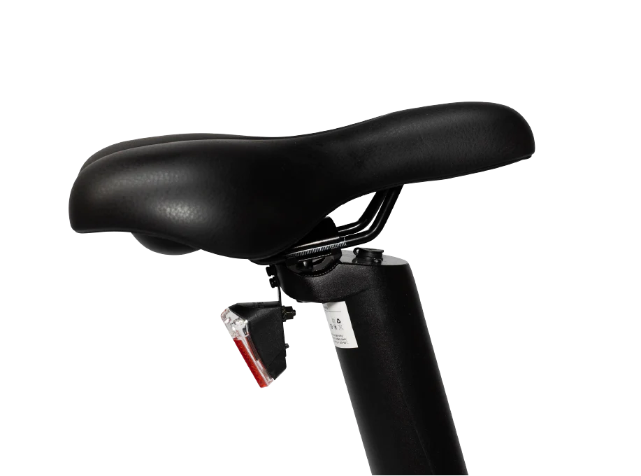 Selle royale Eovolt Afternoon