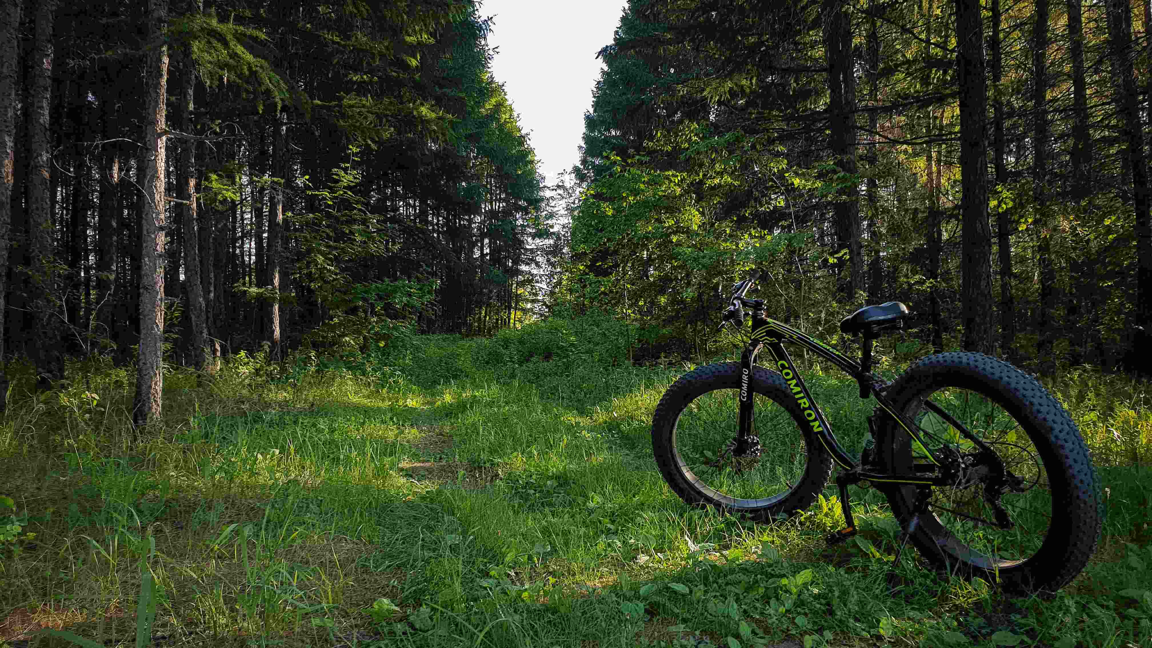 fatbike electrique