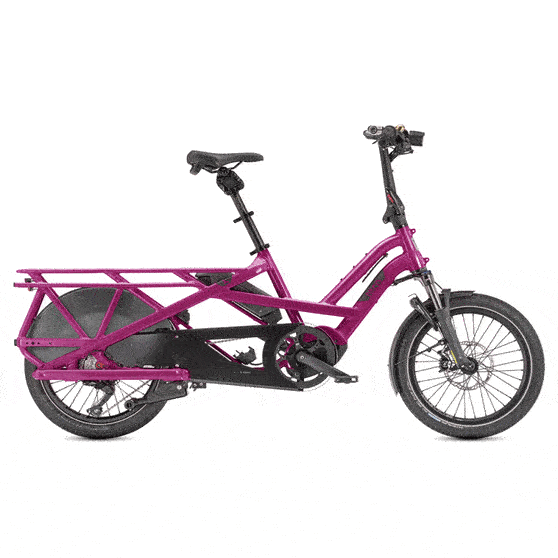 Tern GSD S10 LR Couleurs 