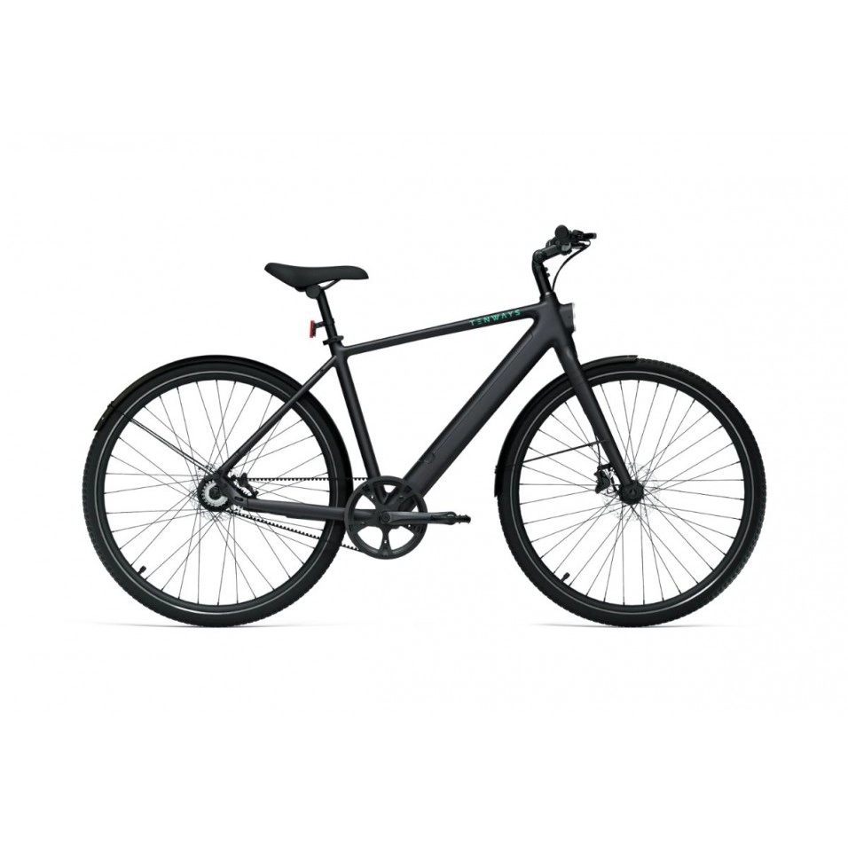 CGO600 Pro - Tenways